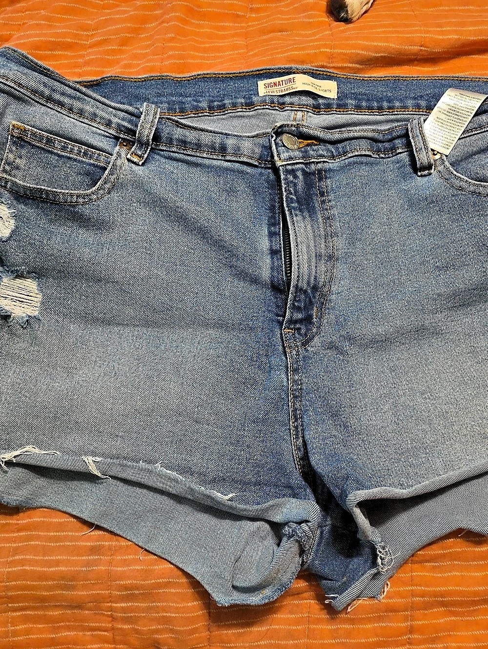 Signature by Levi Strauss & Co. jean shorts Distressed in Blue Size Cutoffs